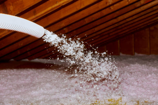 Best DIY Insulation Kits and Guidance in Harbour Heights, FL