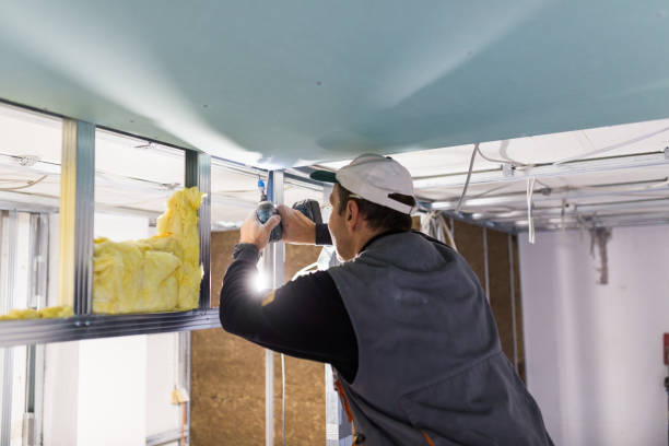 Best Cellulose Insulation in Harbour Heights, FL
